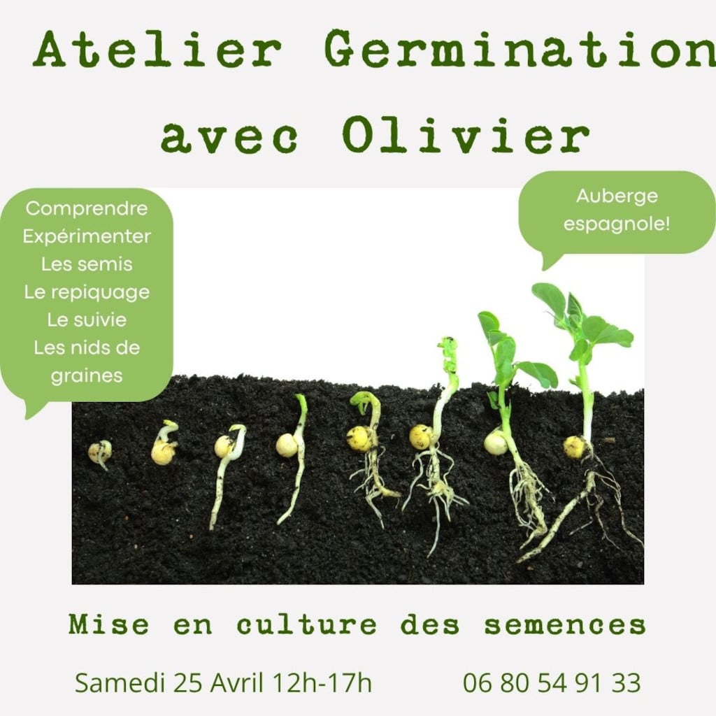 Atelier germination