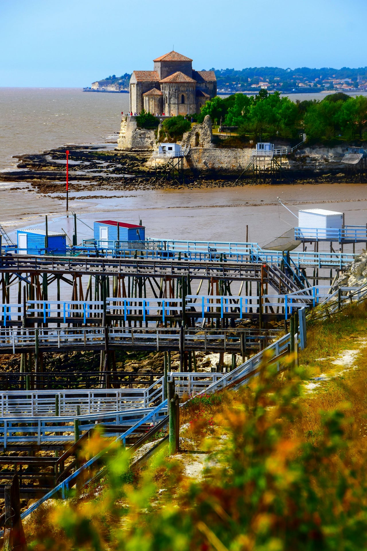 Visite de l'estuaire de la Gironde