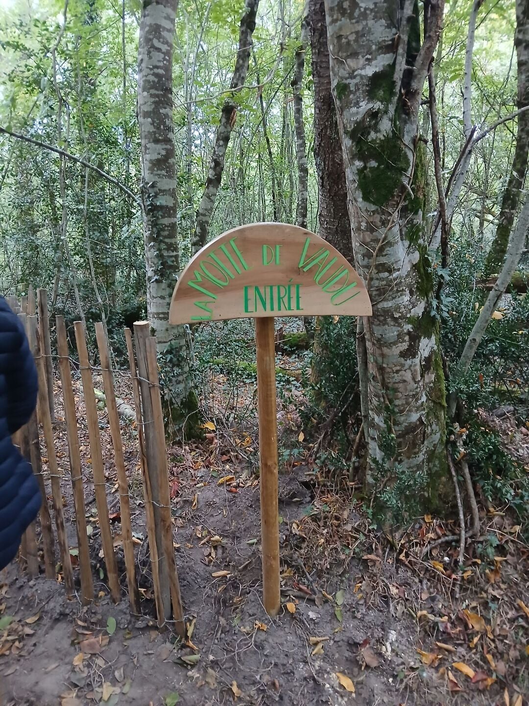 Balade découverte à la Motte de Vaudu et à la pierre de Champmartin