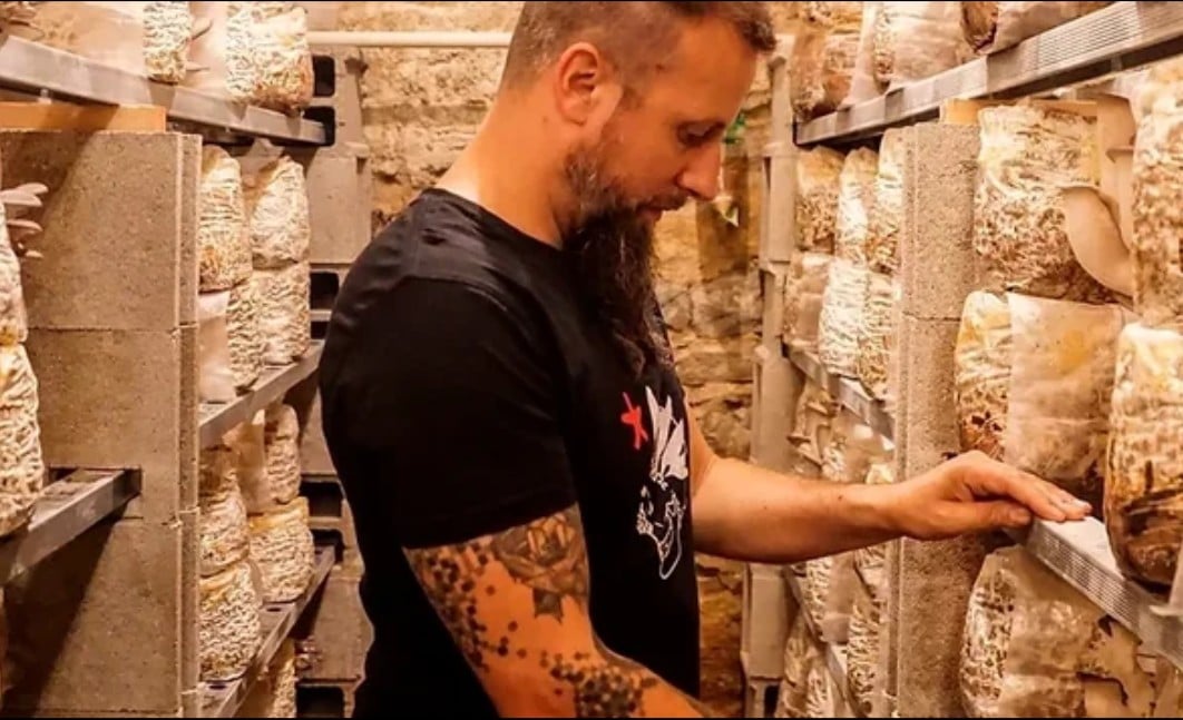 Plongez dans la culture des champignons avec Florian