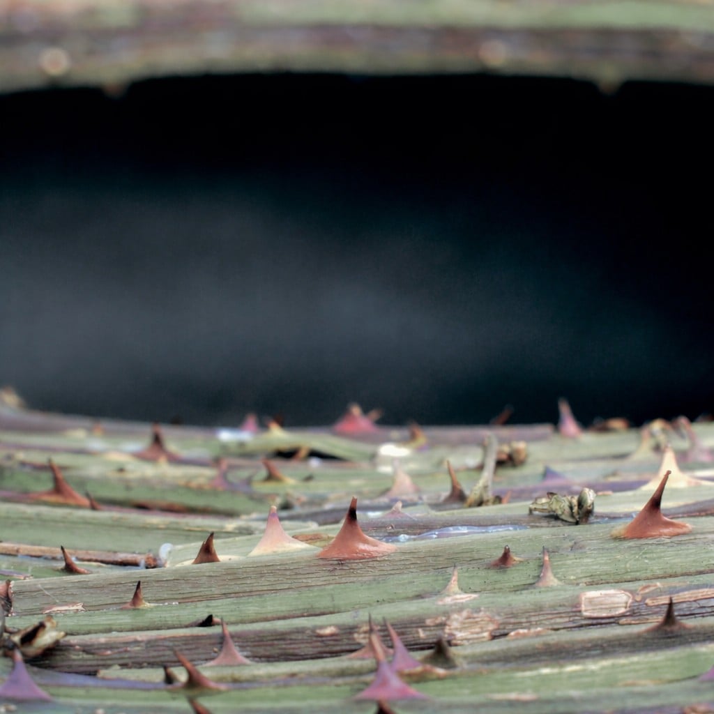 Exposition Lucioles Paysannes de Guillaume de la Follye de Joux