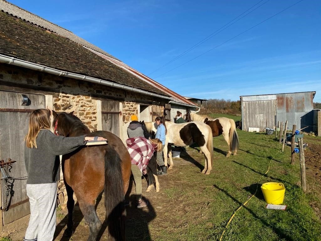 Été actif - visite active de ferme