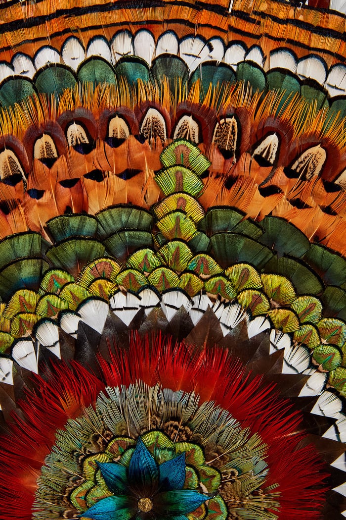 Atelier | Plumasserie