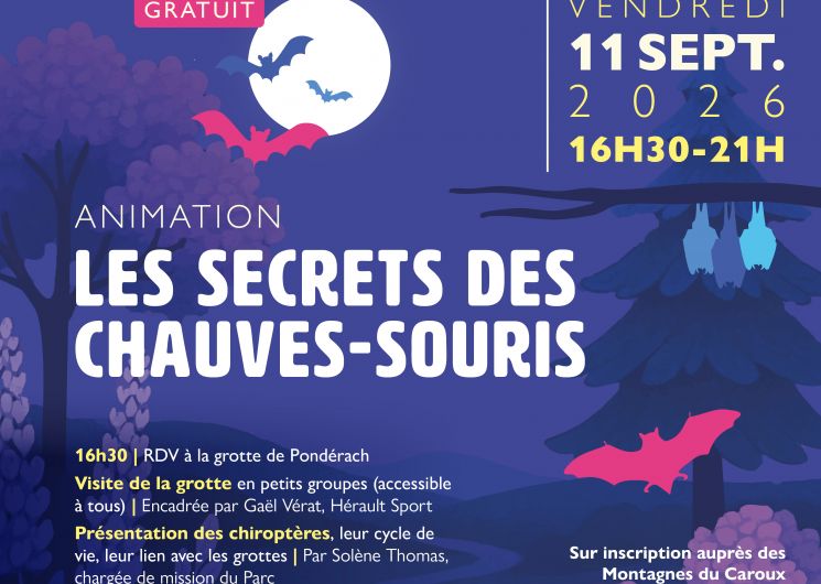 LES SECRETS DES CHAUVE-SOURIS
