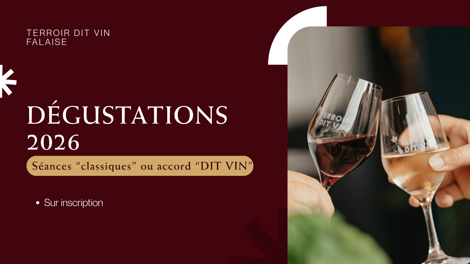 Programme de dégustation | Cave Terroir dit Vin