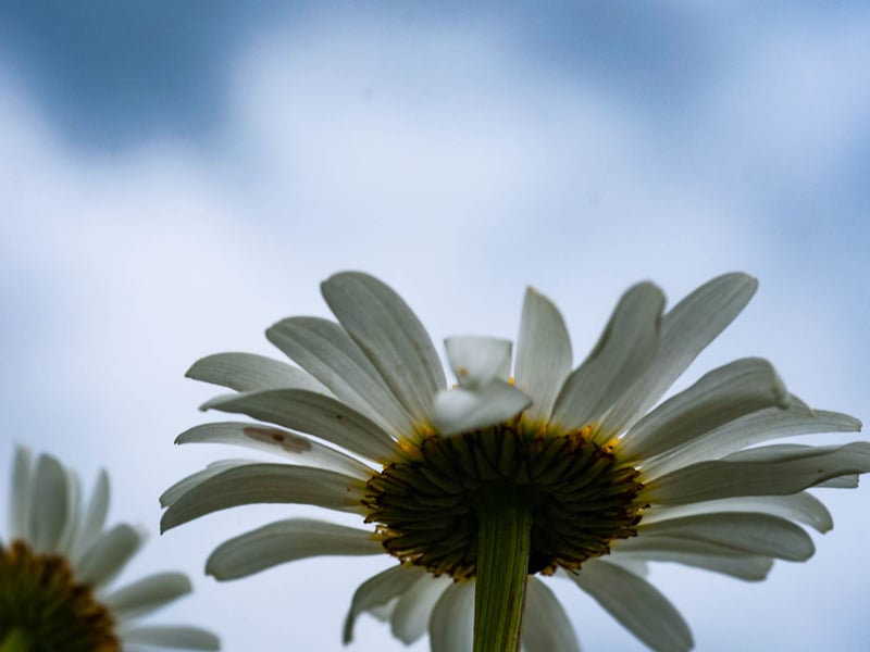 Randonnée de la Pentecôte