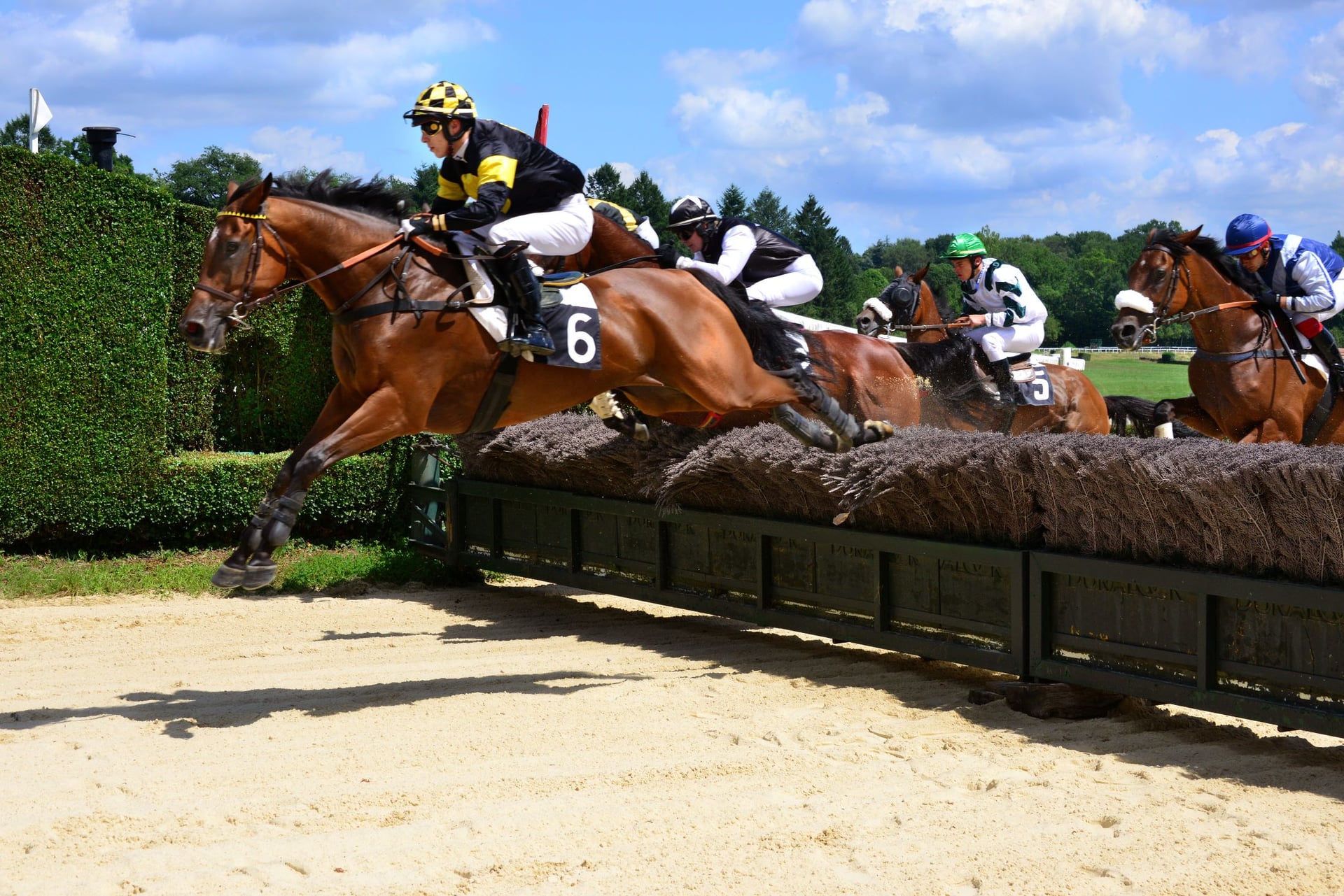 Courses hippiques : Petits jockeys et grands sourires