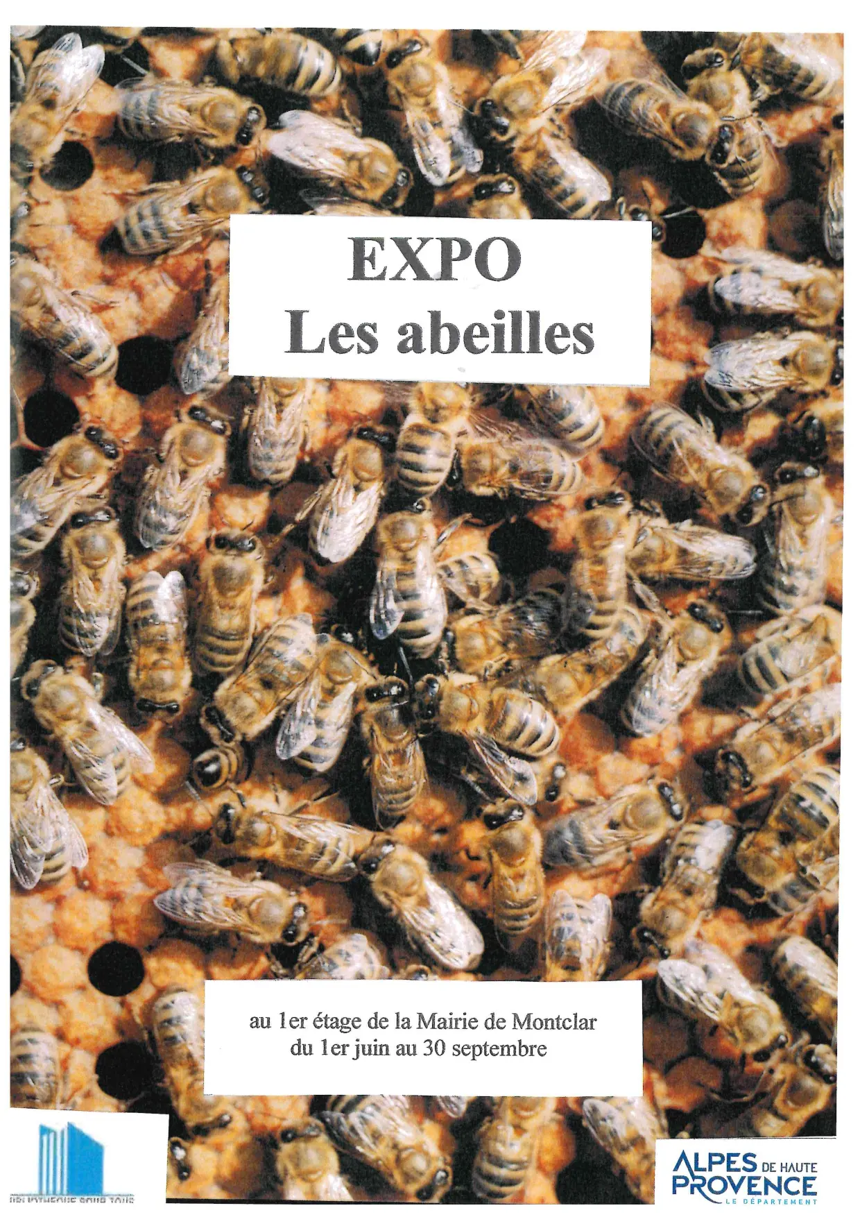 Exposition "les abeilles"