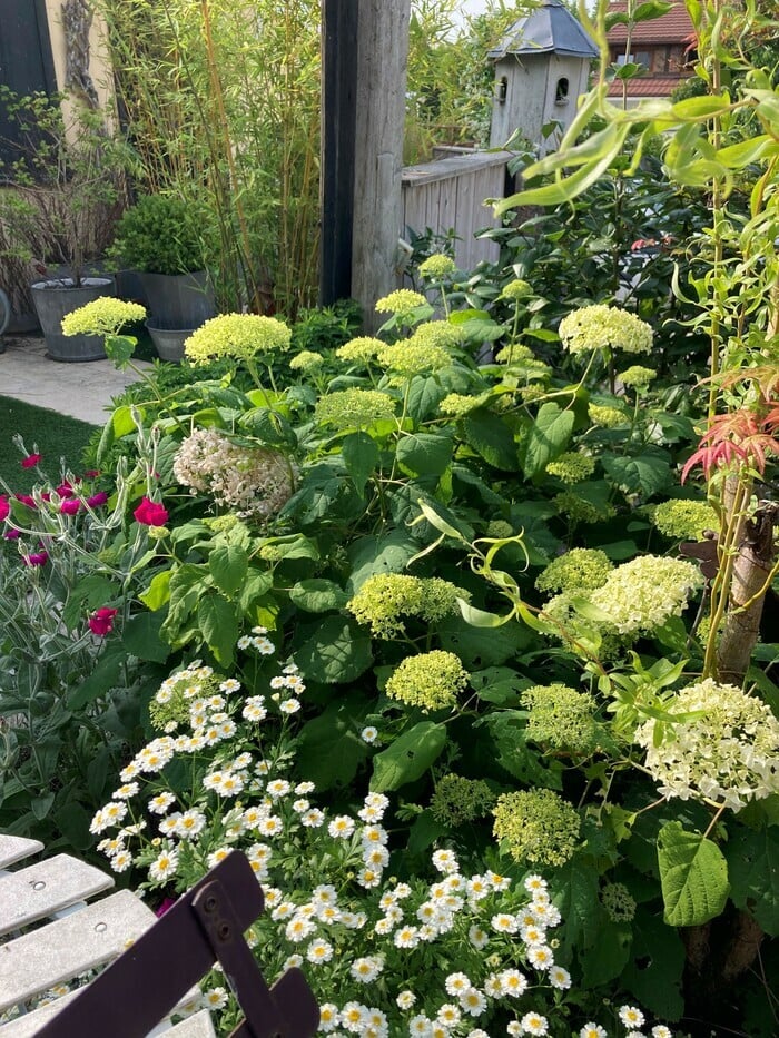 Jardinons ! Atelier "Créer un jardin de fleurs à bouquets"