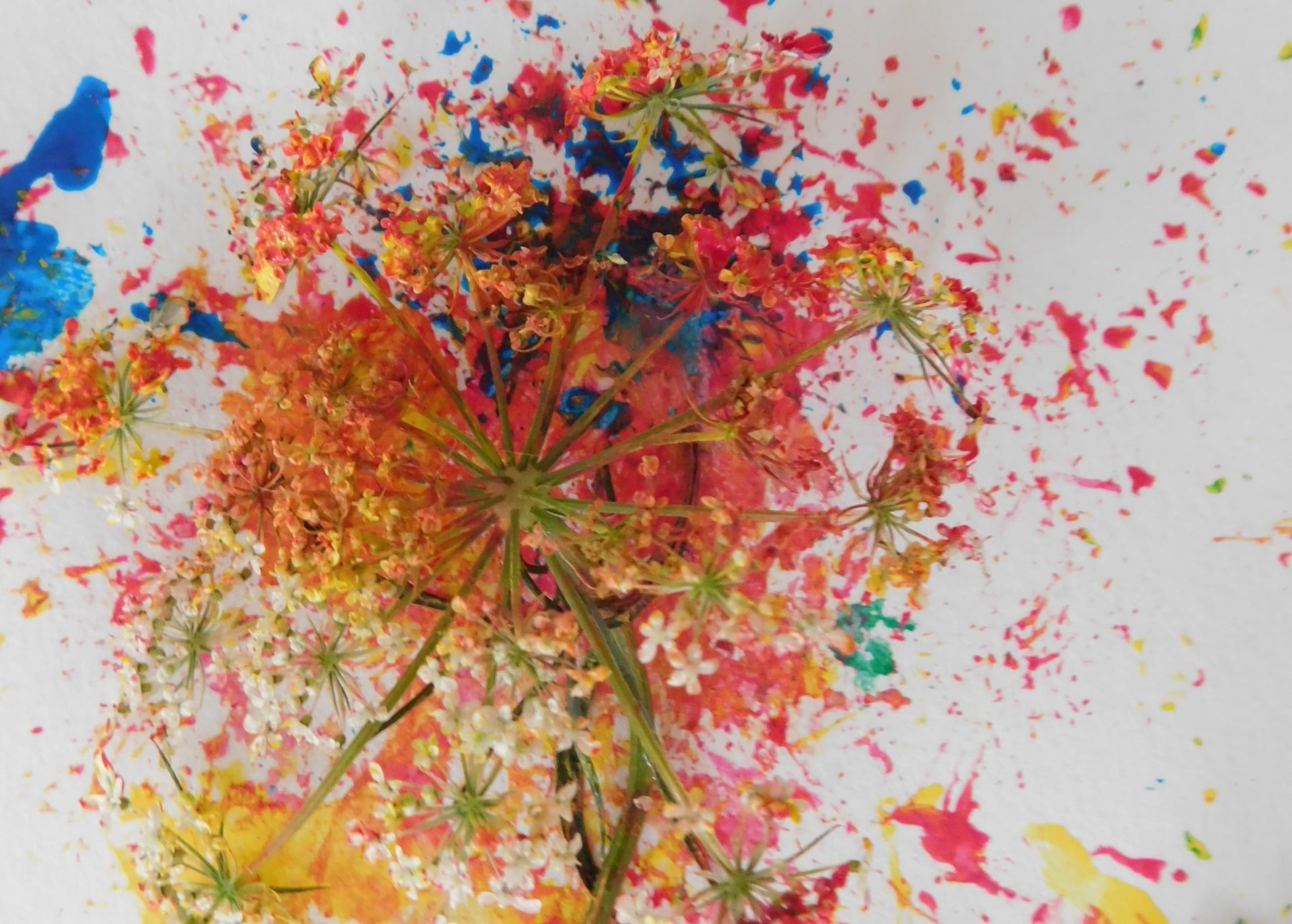 Atelier Peinture + Land art (créations à base de matériaux végétaux)