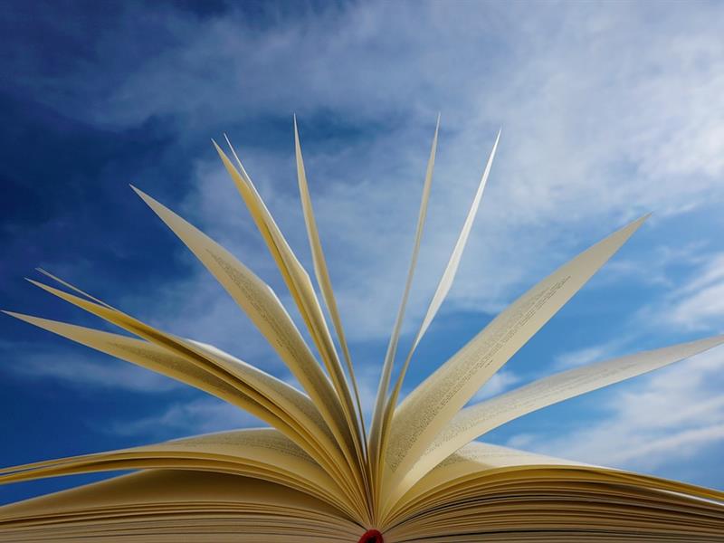 Festival « Partir en livre »