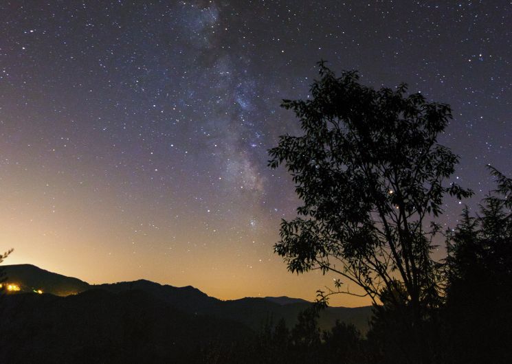 UN ÉTÉ AVEC LE PARC : LA NUIT RÉVÉLÉE