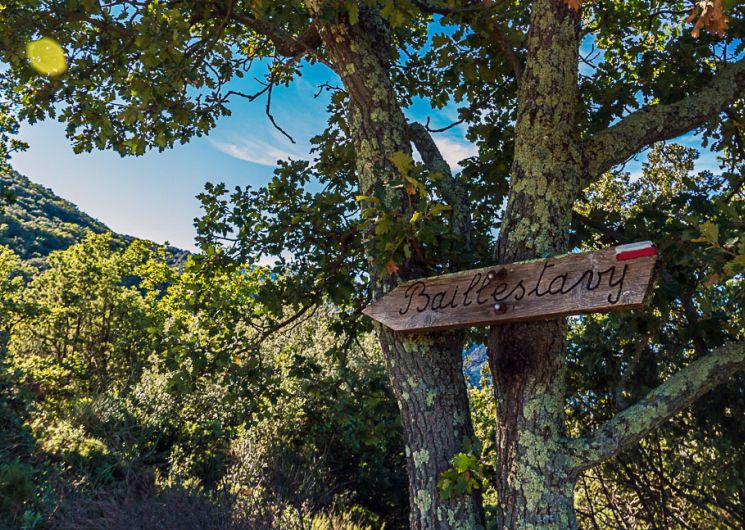RANDO ACCOMPAGNEE : DE BAILLESTAVY A VALMANYA PAR DE BEAUX SENTIERS EN FORET