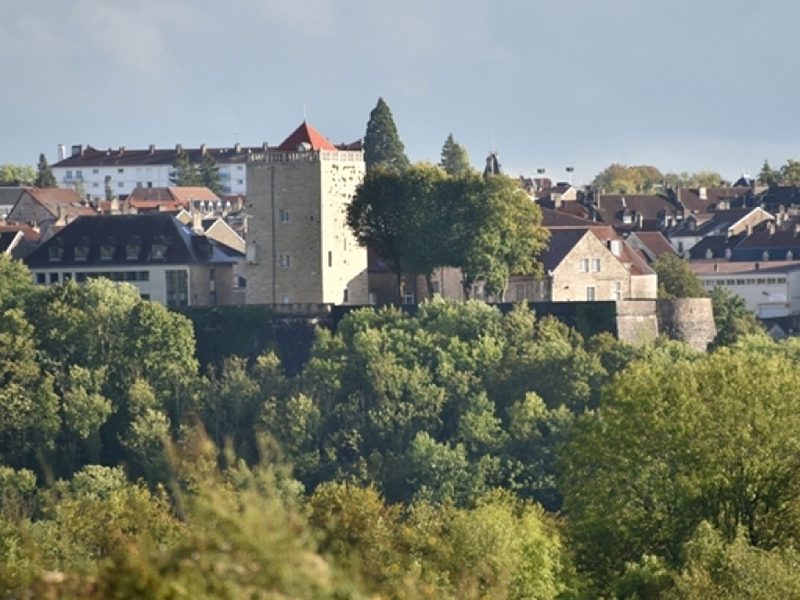 Visite thématique à Chaumont : le Moyen-Age à Chaumont