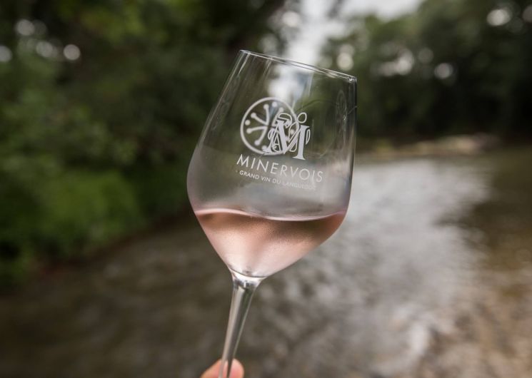 ENTRE VERRES ET VIGNES