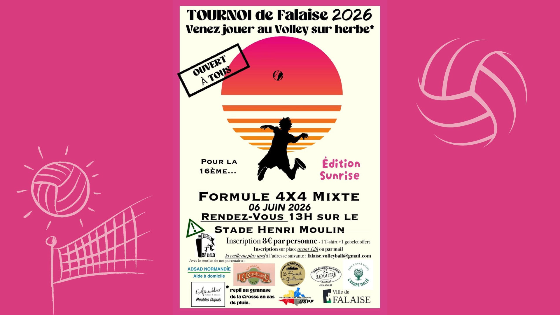 Tornoi de Volley-ball sur herbe