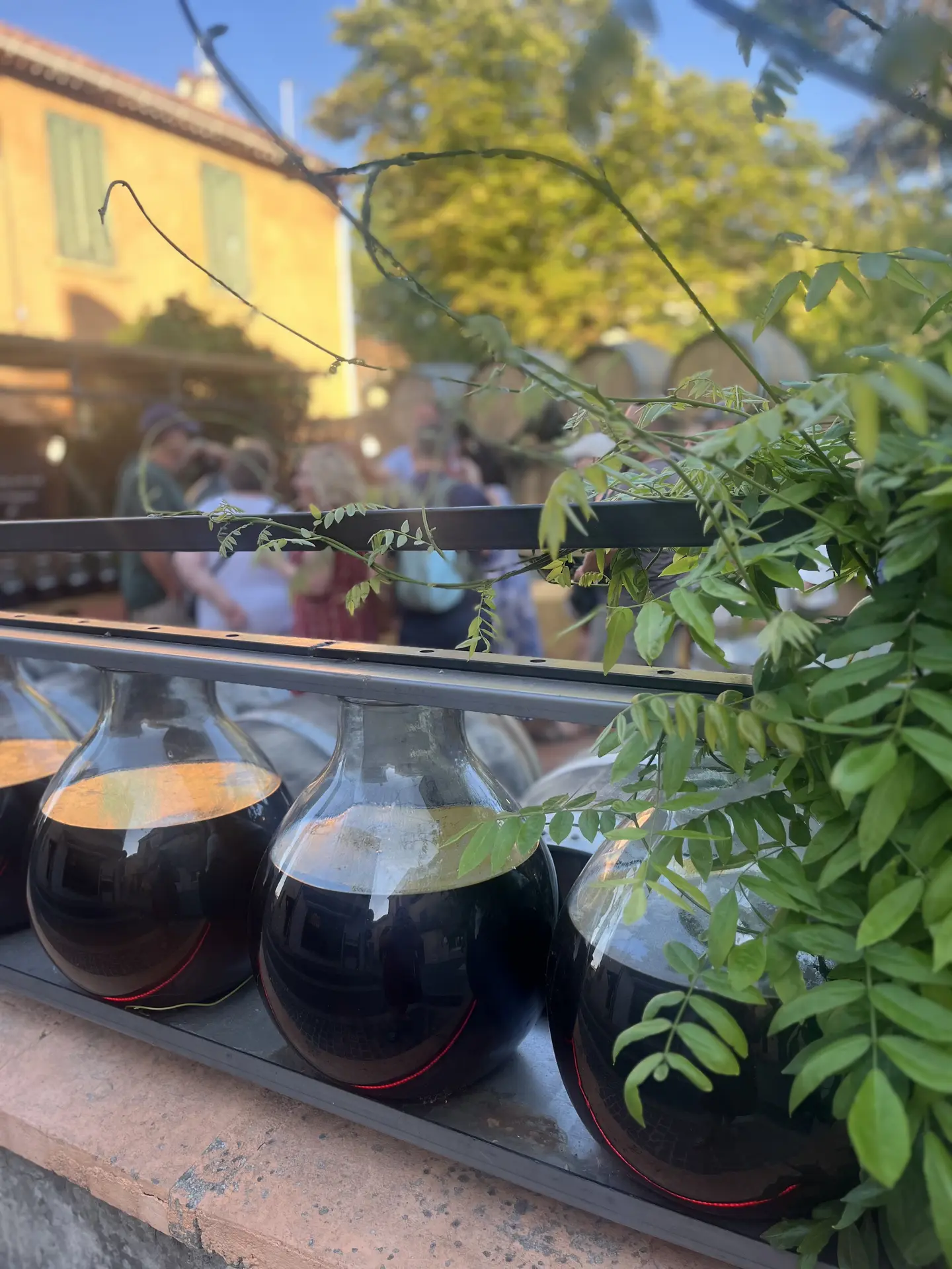 Visites guidées de La Vinaigrerie de Haute Provence