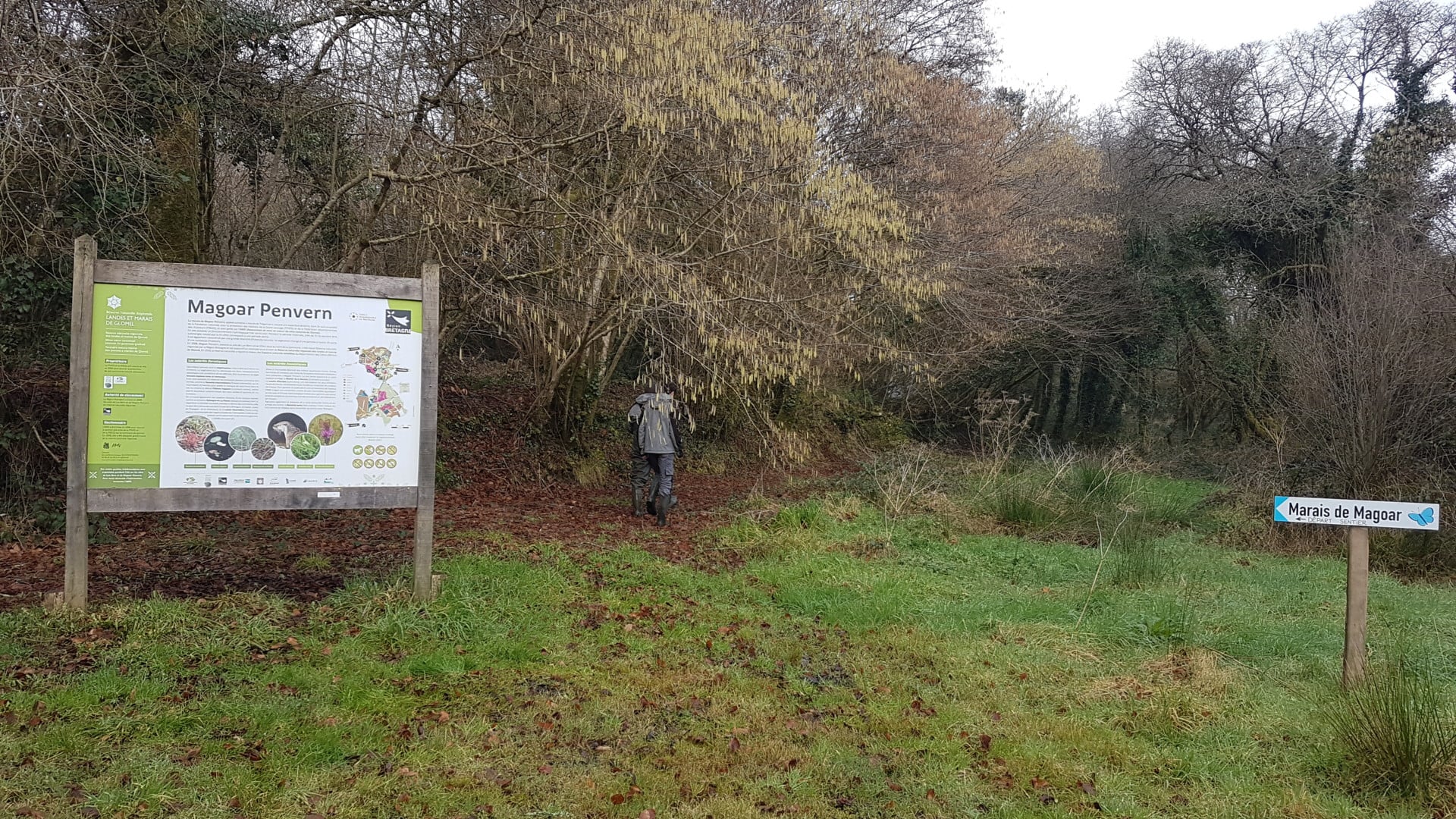Découverte de la réserve naturelle de Glomel – Marais de Magoar Penvern