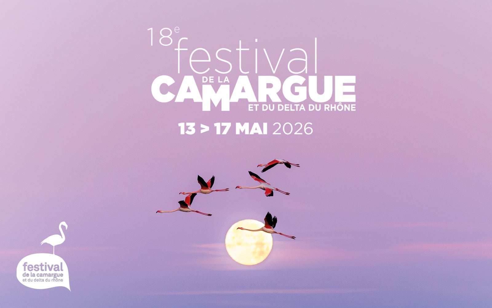 Le festival de la Camargue