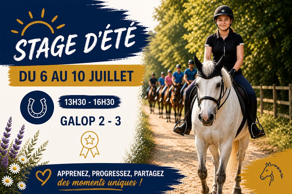 Stage d'équitation - Galop 2/3