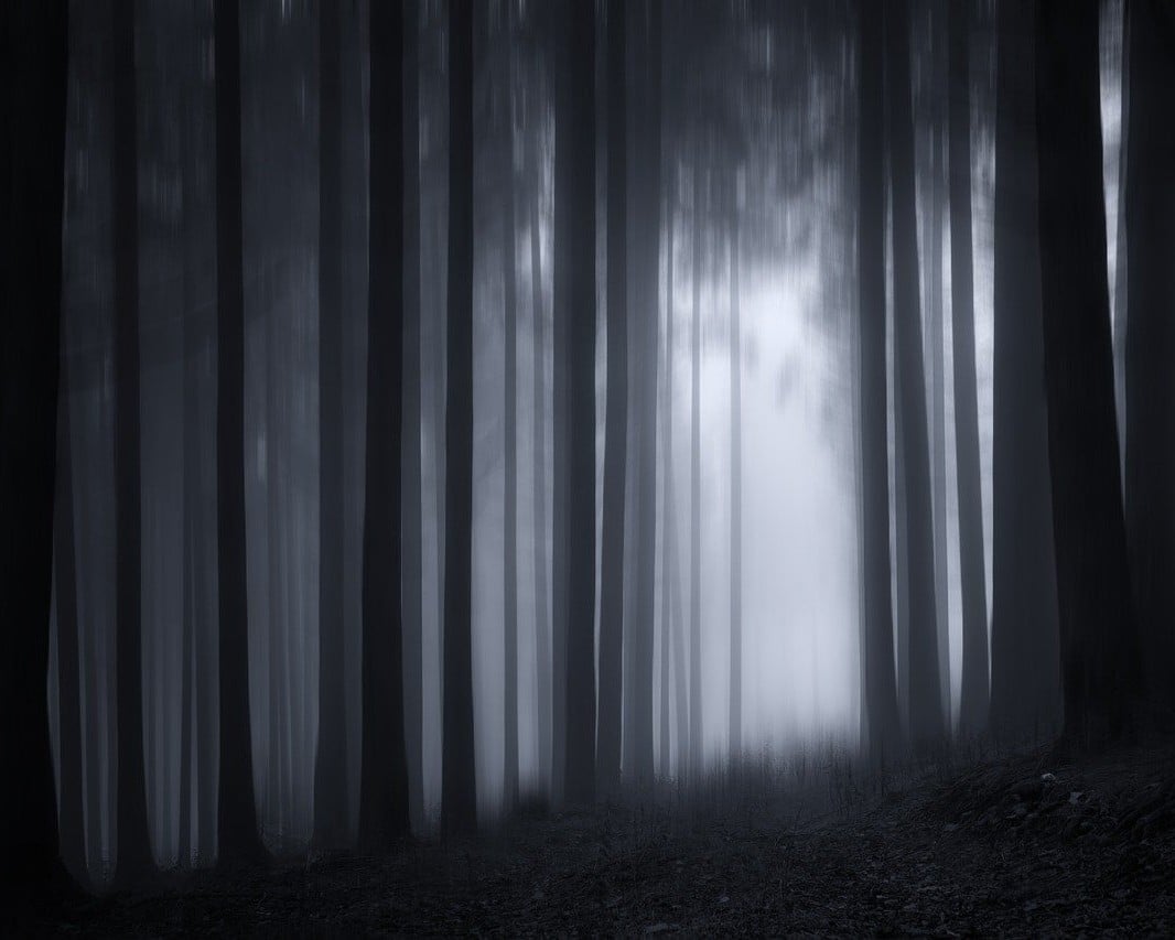 Gretel et Hansel - Collège Donzelot