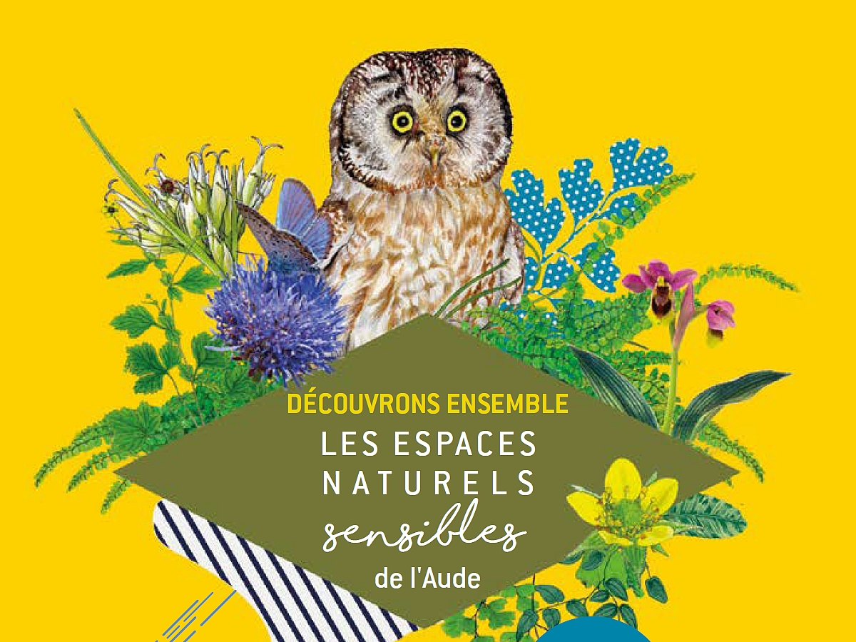 ENS - LA NUIT DE LA CHAUVE-SOURIS