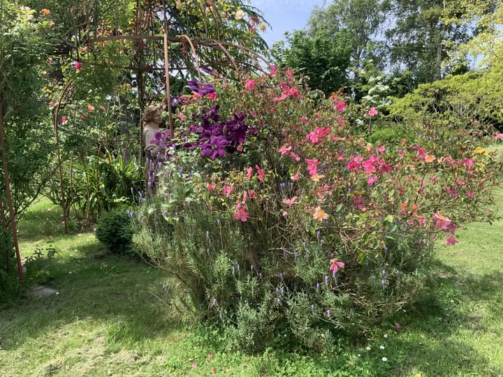 Rendez-vous aux jardins - Le Vicel