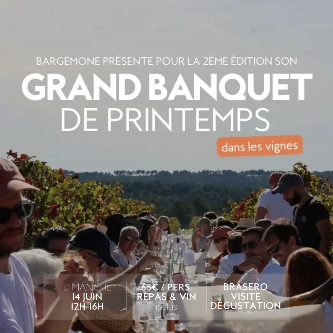Grand Banquet de Printemps dans les Vignes