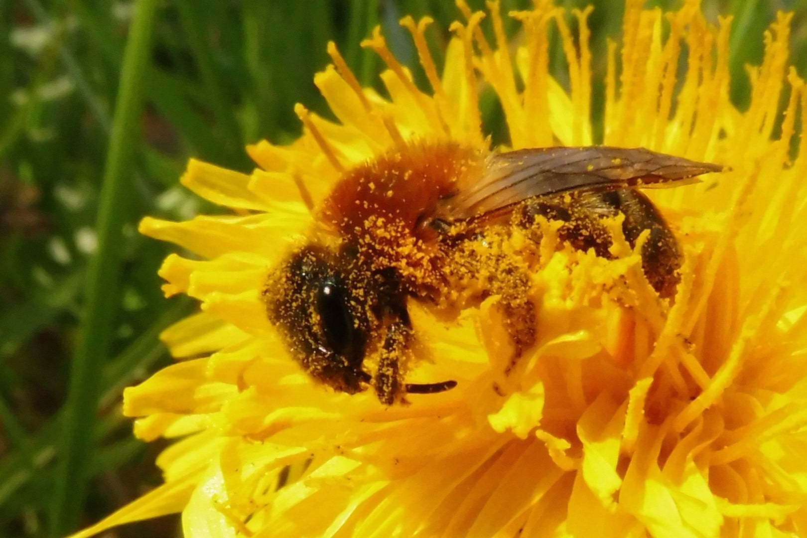 Rencontre sur le jardinage au naturel