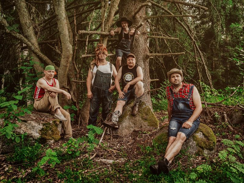 Steve'n'Seagulls