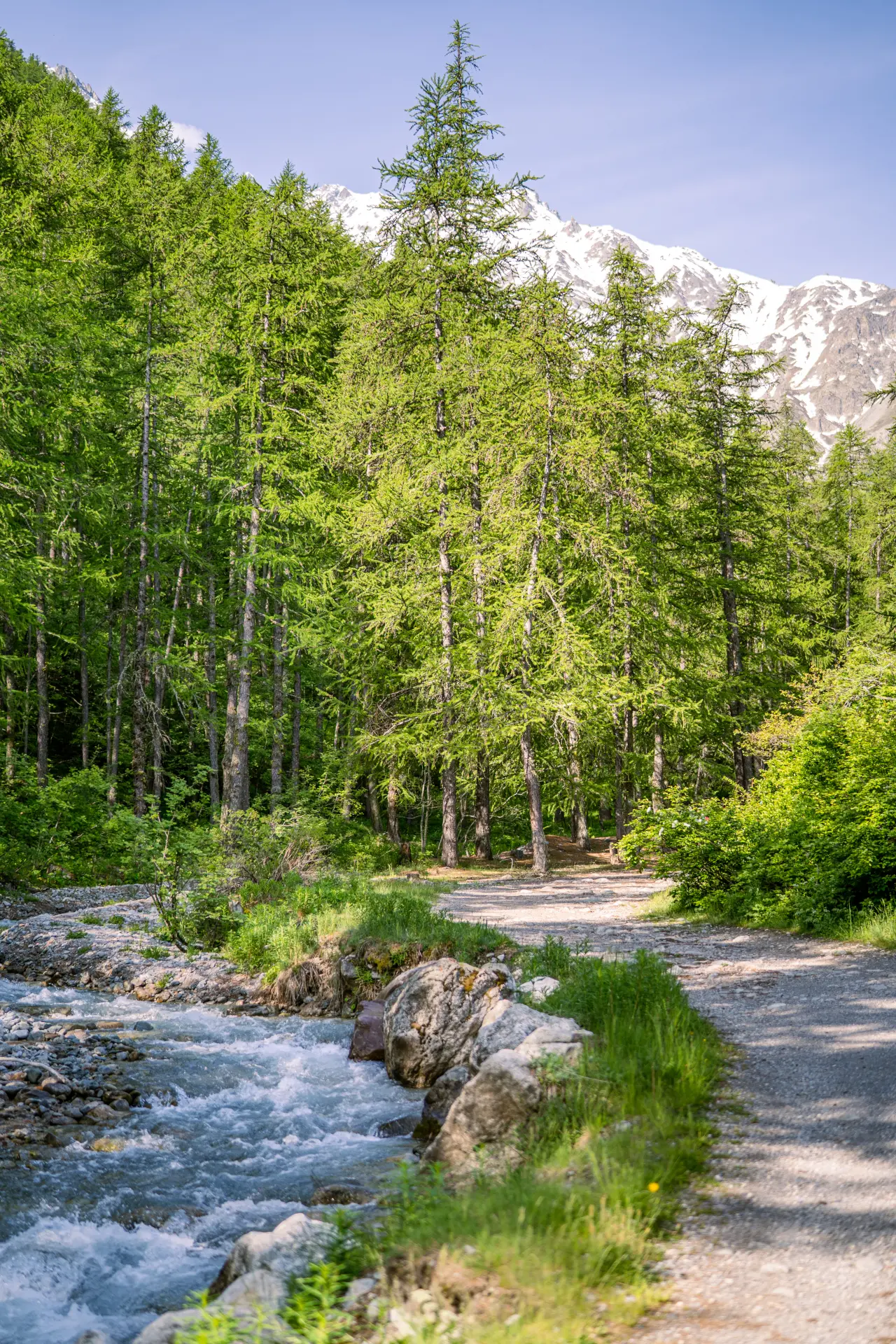 Exposition temporaire du Parc national des Ecrins