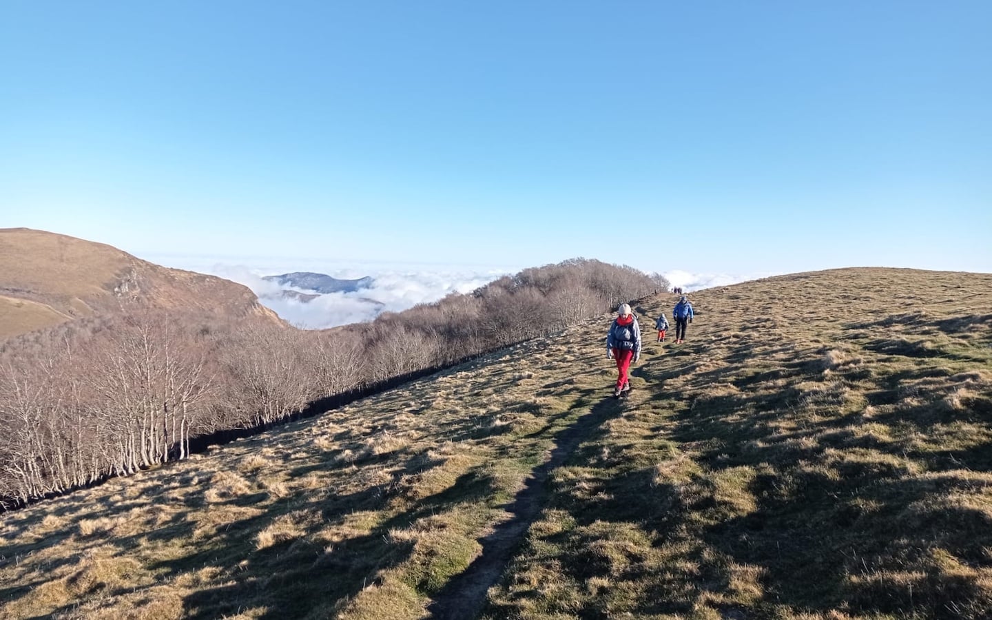 Randonnée accompagnée Mendi Gaiak : randonnée hivernale à pied (niveau 2)