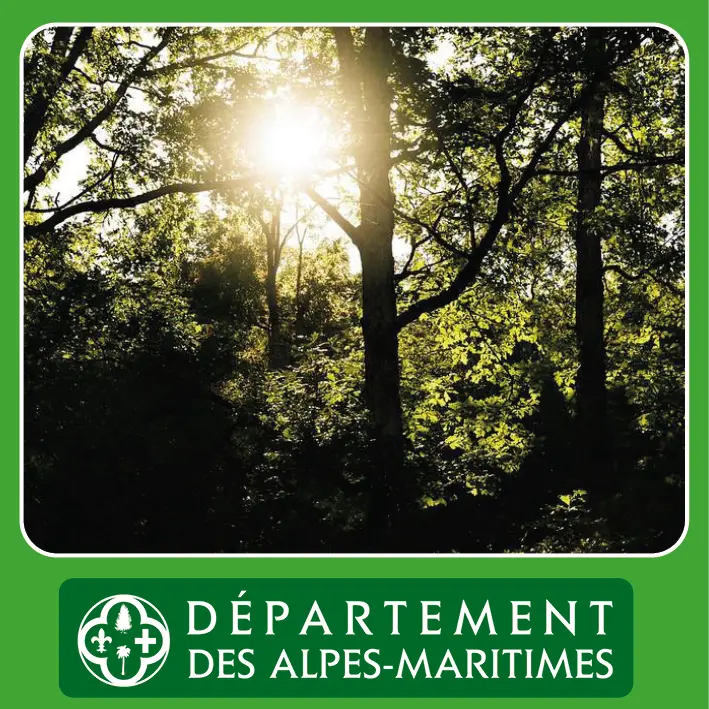 Animation nature " Le soleil : l'énergie de la vie "