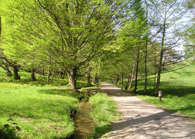 Marche nordique & biodiversité au Vallon de Salut